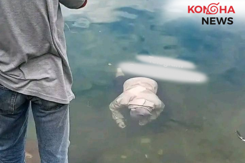 💀 Geger di Danau Maninjau, Warga Temuin Mayat Cewek Pagi-Pagi!