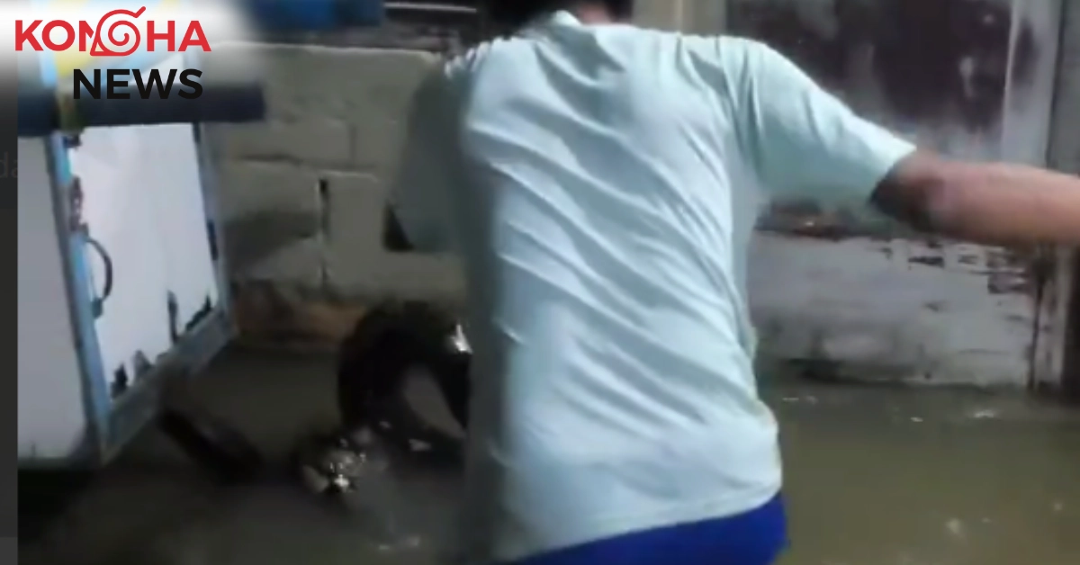 Kaget Menembus Layar, Kirain Ularnya Kecil… Ternyata Badannya Gede